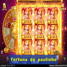 fortuna do paulinho do roupa nova